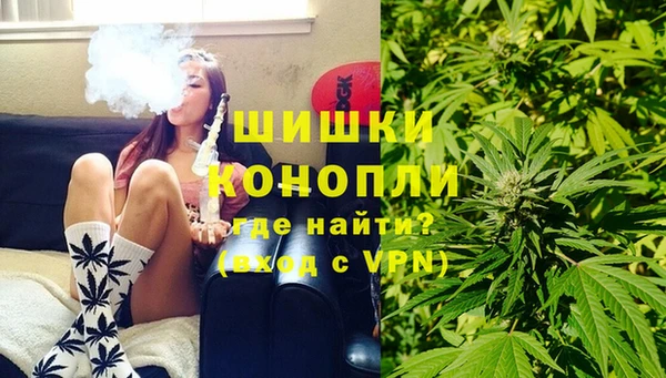 spice Осташков