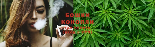 spice Осташков