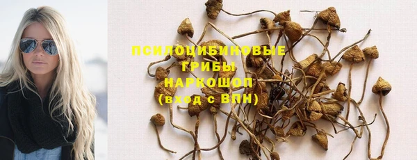 spice Осташков