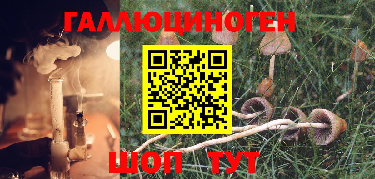 Псилоцибиновые грибы мухоморы  Псилоцибиновые грибы MAGIC MUSHROOMS  Тосно 