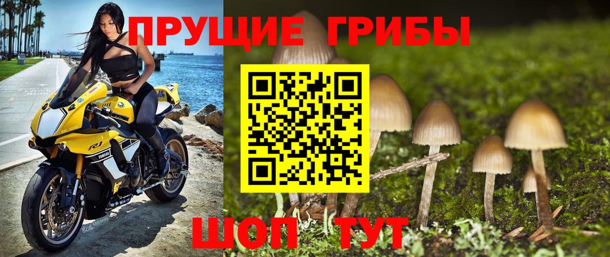 Галлюциногенные грибы GOLDEN TEACHER Тосно