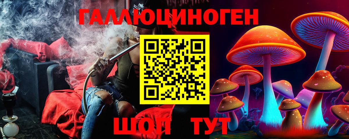 Галлюциногенные грибы Cubensis Тосно