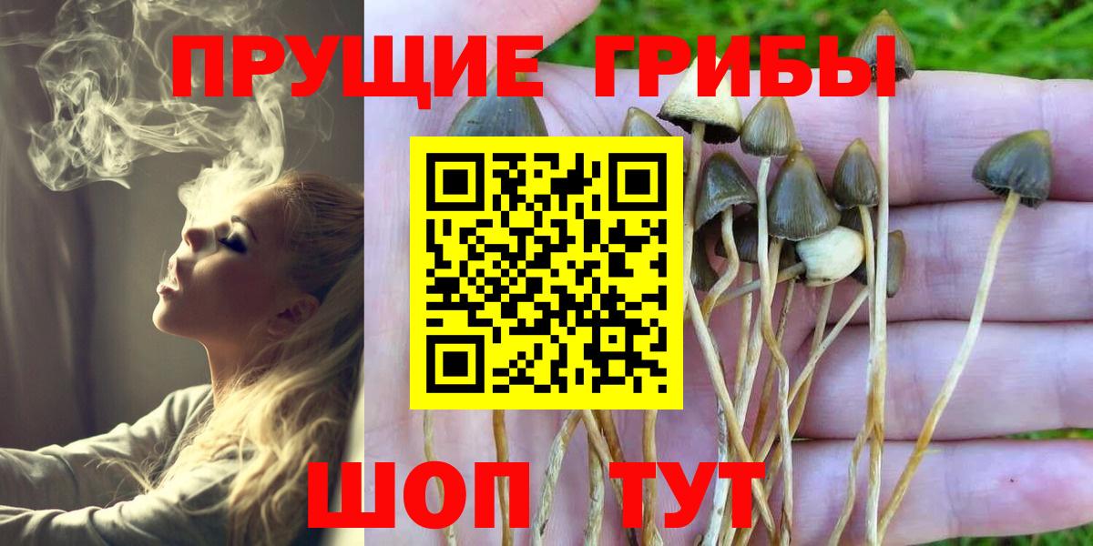 Псилоцибиновые грибы мухоморы  Вход с VPN  Тосно 